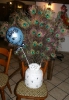 Archiv 2010/2011_6