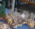 Archiv 2011/2012_22